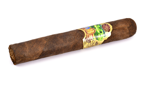  Oliva - Master Blends 3 - Robusto (1 .)