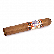 ������ Perdomo - Lot 23 Sun Grown (Natural)  - Robusto  (1 ��.)