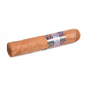  La Instructora - Perfection Short Robusto (1 .)