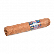  La Instructora - Perfection Short Robusto (1 .)