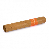 ������ Montosa - Robusto (1 ��.)