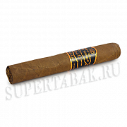 ������ Casa Turrent - Miami - Robusto (1 ��)