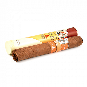 ������ AVO - Syncro Nicaragua Fogata - Toro Tubo (1 ��)