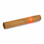 ������ Montosa - Robusto (1 ��.)