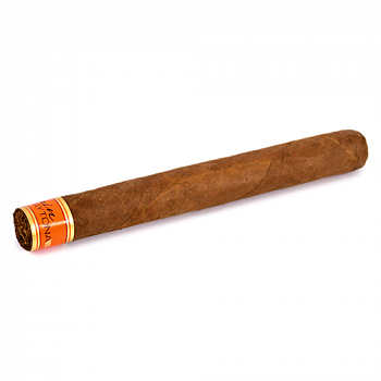 ������ Cain Daytona - Corona (1 ��.)