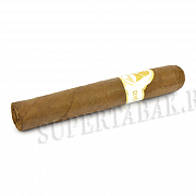  Davidoff - Winston Churchill - Robusto (1 .)