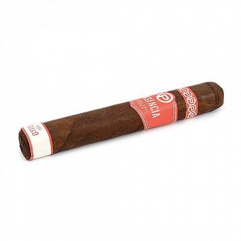 ������ Plasencia - Alma del Fuego - Conception Toro (1 ��.)