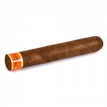 ������ Cain Daytona - Double Toro (1 ��.)