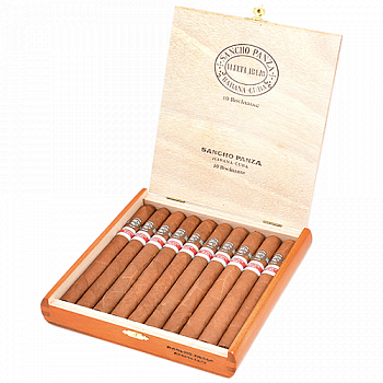 ������ Sancho Rocinante (������� 10 ��.)