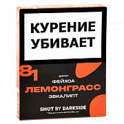 ����� ��� ������� DarkSide - SHOT - ���������� - ������ - �������� (25 ��)