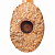 ������ Gasparinii - Collectionist Briar 1920 - ���. 19 (������ 9 ��) - Estate New Unsmoked