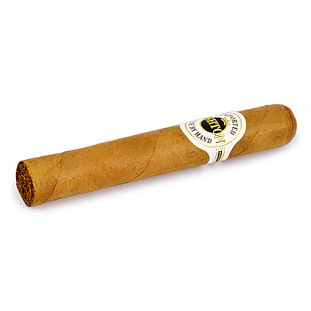 ������ Ashton Classic Series - Magnum Robusto (1 ��.)
