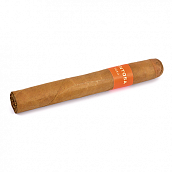 ������ Montosa - Toro (1 ��.)