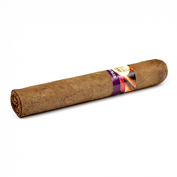 ������ Tatiana - Robusto - Groovy Blue (1 ��.)