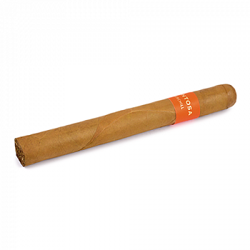 ������ Montosa - Churchill (1 ��.)