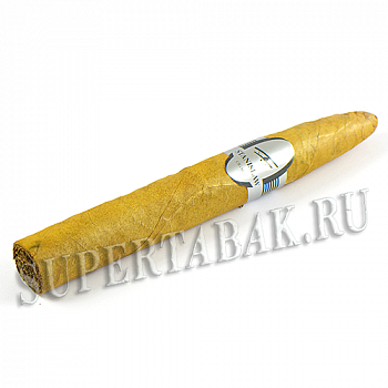 ������ Stanislaw - Torpedo (1 ��.)