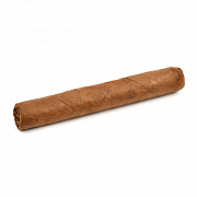 ������ La Ribera Nicaragua Gordo (1 ��.)