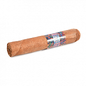 ������ La Instructora - Perfection Short Robusto (1 ��.)