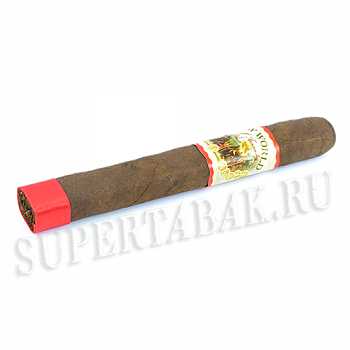������ AJ Fernandez - New World Gobernador - Toro