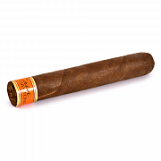  Cain Daytona - Robusto (1 .)