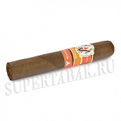  AVO - Syncro Nicaragua Fogata - Robusto (1 )