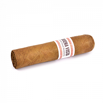 ������ Buena Vista - Dark Fired Kentucky - Short Robusto (1 ��.)
