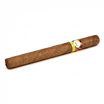 ������ Tatiana - Classic - Carribean Chill (1 ��.)