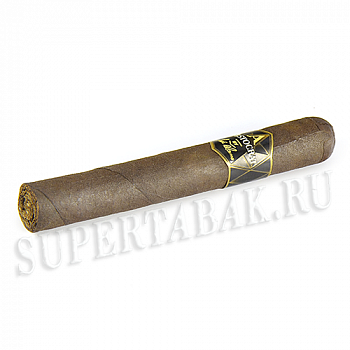 ������ Aristocrat by Jose Blanco - Robusto  (1 ��)
