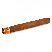 ������ Cain Daytona - Corona (1 ��.)