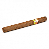 ������ Tatiana - Classic - Carribean Chill (1 ��.)
