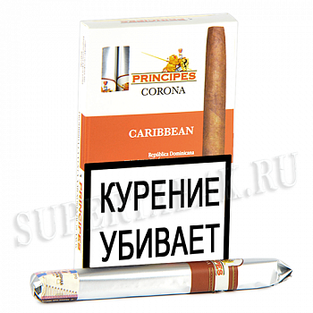 ������ La Aurora Principes - Corona Caribbean (Rom) - 1 ��