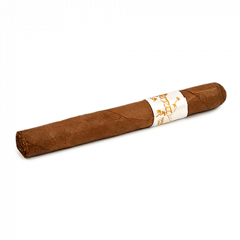 ������ Principle Cigars Accomplice Classic White Band - Corona Gorda (1 ��.)