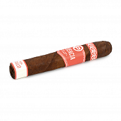  Plasencia - Alma del Fuego - Candente Robusto (1 .)