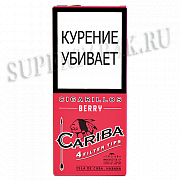 ��������� Cariba Wood Tip Berry - 4 ��.