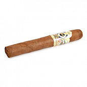 ������ Ashton - ESG 23 Year - Salute (1 ��.)
