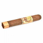  AJ Fernandez - New World Dorado - Robusto (1 .)