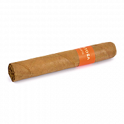  Montosa - Robusto (1 .)