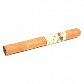 ������ Paradiso - Elegancia Churchill (1 ��.)