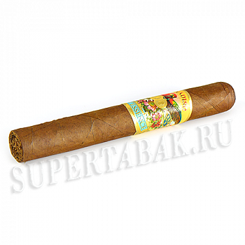 ������ Paradiso - Quintessence Epicure (1 ��)