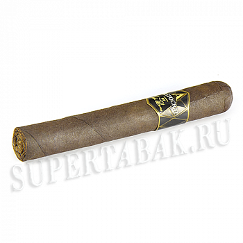  Aristocrat by Jose Blanco - Robusto  (1 )