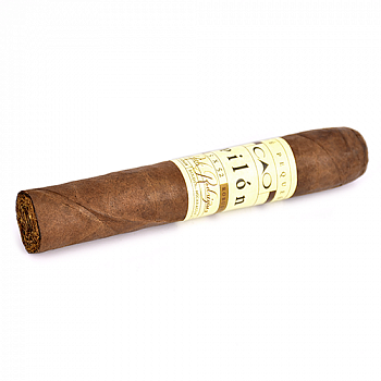 ������ CAO - Pilon - Robusto Extra (1 ��.)