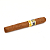 ��������� Cohiba Short 10��