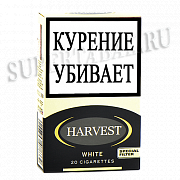  Harvest White () - ( 260)