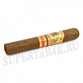  AJ Fernandez - Bellas Artes - Robusto