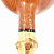 ������ Todd Johnson - Stoa  - ���. 122 (��� �������) - Estate New Unsmoked