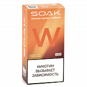 POD-������� SOAK W - ������ ������ � ������ (10.000 �������) - 2% (1 ��.)
