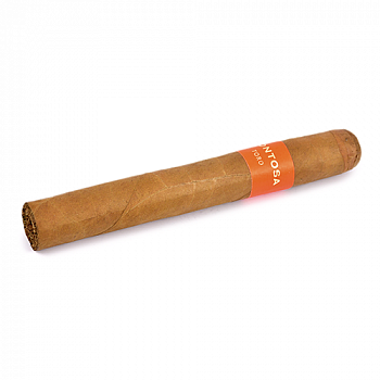 ������ Montosa - Toro (1 ��.)