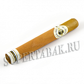  Ashton Classic Series - Double Magnum Toro (1 .)