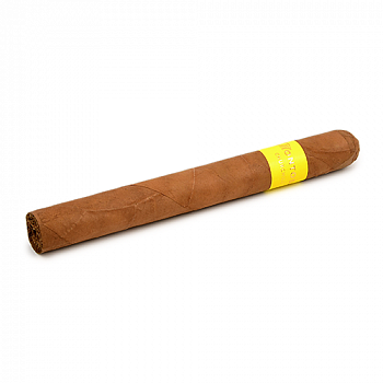 ������ Montosa - Amarillo Churchill (1 ��.)