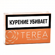����� Terea - Amber (������ ��� ��������� IQOS Iluma)